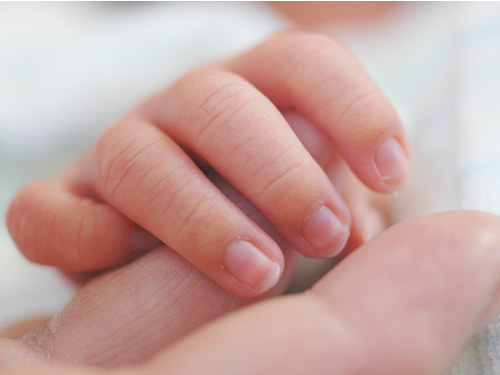 鍼灸/子供と母親の手 鍼灸/子供と母親の手